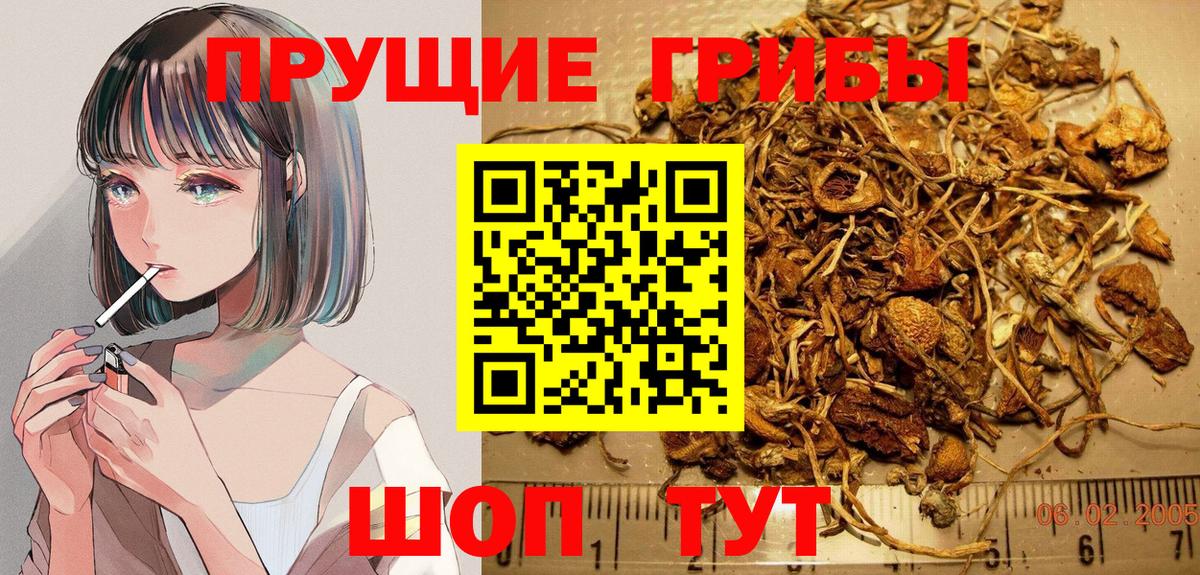 Кокаин  ГАШИШ  A PVP СОЛЬ кристаллы  Вход с VPN  ЭКСТАЗИ  Ульяновск  Меф   Канабис 