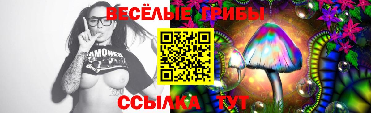 Псилоцибиновые грибы MAGIC MUSHROOMS  Псилоцибиновые грибы Psilocybe  Ульяновск  Вход с VPN 