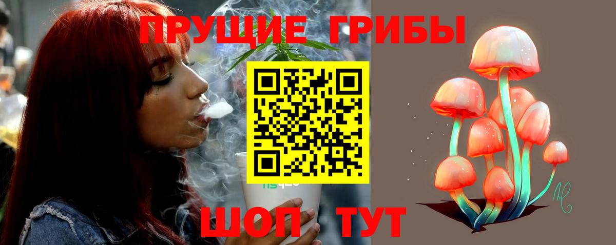 Галлюциногенные грибы Psilocybine cubensis Ульяновск